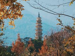 -崇圣寺三塔文化旅游区