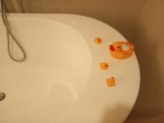 可爱的小黄鸭肥皂盒-武汉帝盛酒店(江汉路步行街店)
