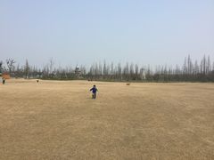 -上海长兴岛郊野公园