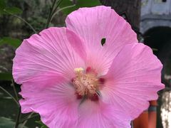 -合肥滨湖国家森林公园