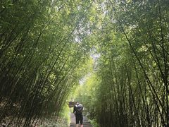-重庆神龙峡漂流
