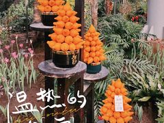 -沈阳植物园
