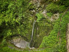 -鹿院坪生态旅游景区