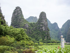 -钟山水墨田园