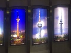 -辽宁电视塔
