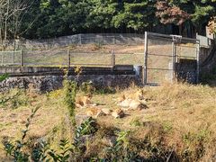 -宁波野生动物园
