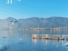 -海埂大坝