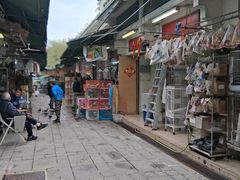 -园圃街雀鸟花园