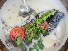 -全乐鱼馆·淳牌有机鱼直营店
