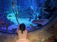 -沈阳海洋探索中心