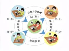 -竞思注意力·专注力·学习能力训练(珠江新城中心)