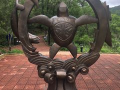 -广东惠东海龟国家级自然保护区