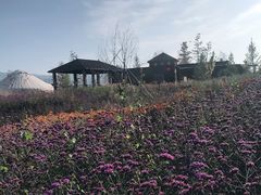 -新疆那拉提国家旅游度假区