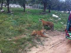 -西安秦岭野生动物园