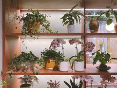 -二酉书店TOYOU BOOKS