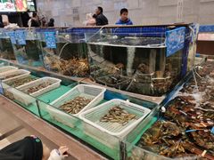 水产区-蓝港海鲜厨房(金水路店)
