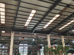 -南宫温泉水世界