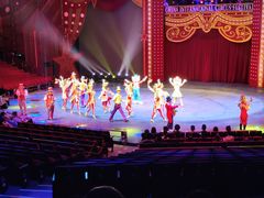 -珠海横琴长隆《卡卡虎奇遇记》