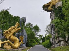 -宜兴龙背山森林公园