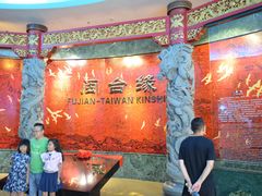 -中国闽台缘博物馆