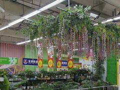 -大润发(张江店)