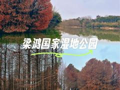 -梁鸿国家湿地公园