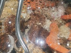 -大锅强·蒸海鲜青岛菜(吾悦广场店)