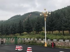 -塞罕坝国家级自然保护区