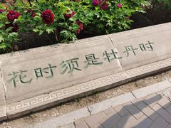 -莲花池公园