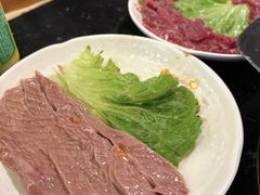 -重庆川渝肥妹火锅