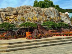 -北京西山国家森林公园