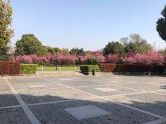 -荆川公园