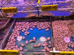-四海之家(蛇口店)