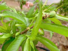 -凯德广场(武胜路店)