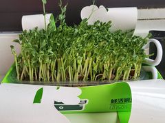 -海底捞火锅(正大乐城店)