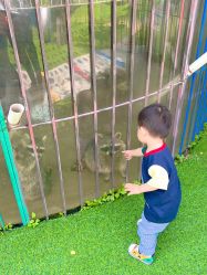 -萌宠亲子动物乐园(槐房万达店)