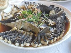 -京北渔家傲