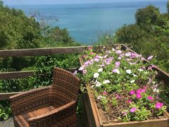 -北海金海湾红树林生态旅游区