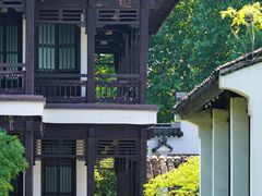 -红梅公园