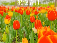 -大宁公园