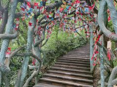 -天目湖山水园