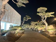 -罗红摄影艺术馆