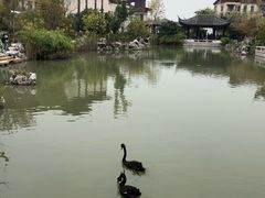 -国寿嘉园·苏州雅境