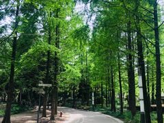 -苏州河梦清园环保主题公园