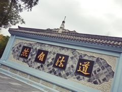 -青羊宫