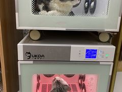 -小呆的宠物店·宠物售卖·宠物寄养(城西店)
