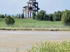 -野鸭湖国家湿地公园