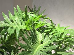 -WEGYMER健萌健身(雅颂居馆)