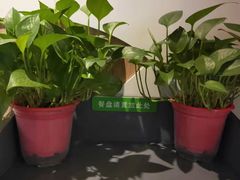 -德克士(绛州店)