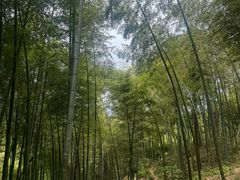 -藏龙百瀑风景区